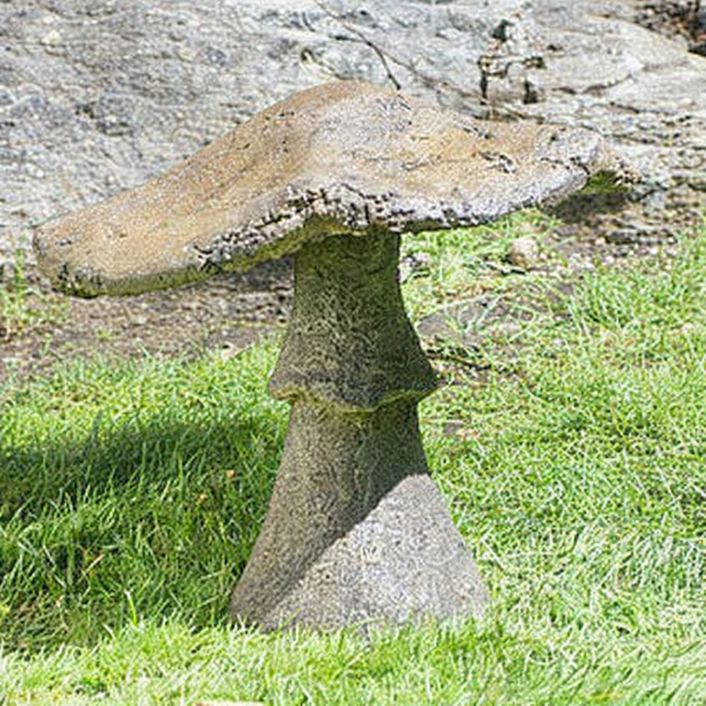 Garden Mushroom 16''