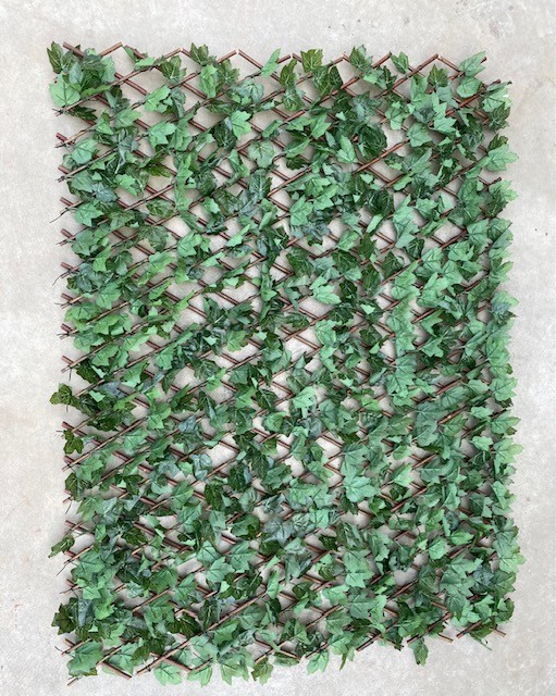 UV Protected Ivy Trellis