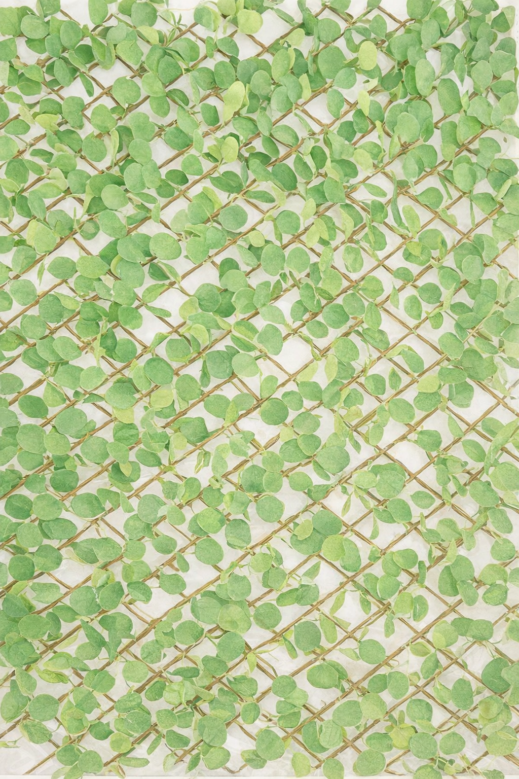 UV Protected Eucalyptus Trellis