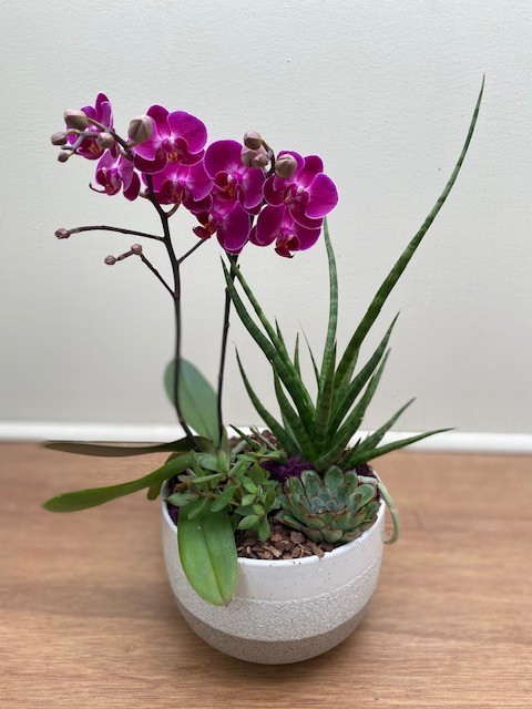 Elegant Orchid Bowl