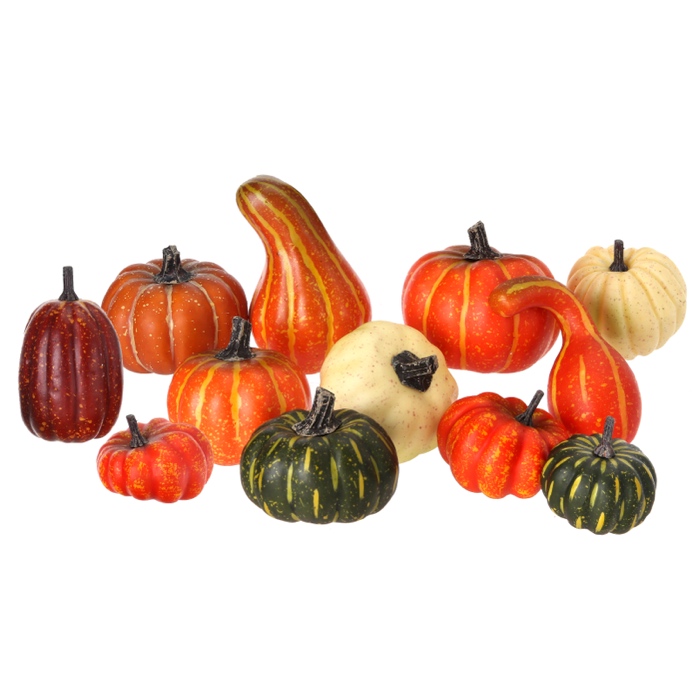 Mixed Harvest/Gourd